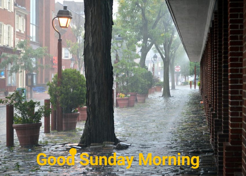 DeniListaCott's tweet photo. #GoodMorning  Even in the rain the day feels good !  #PositiveVibes https://t.co/P1DwL2ZPBO