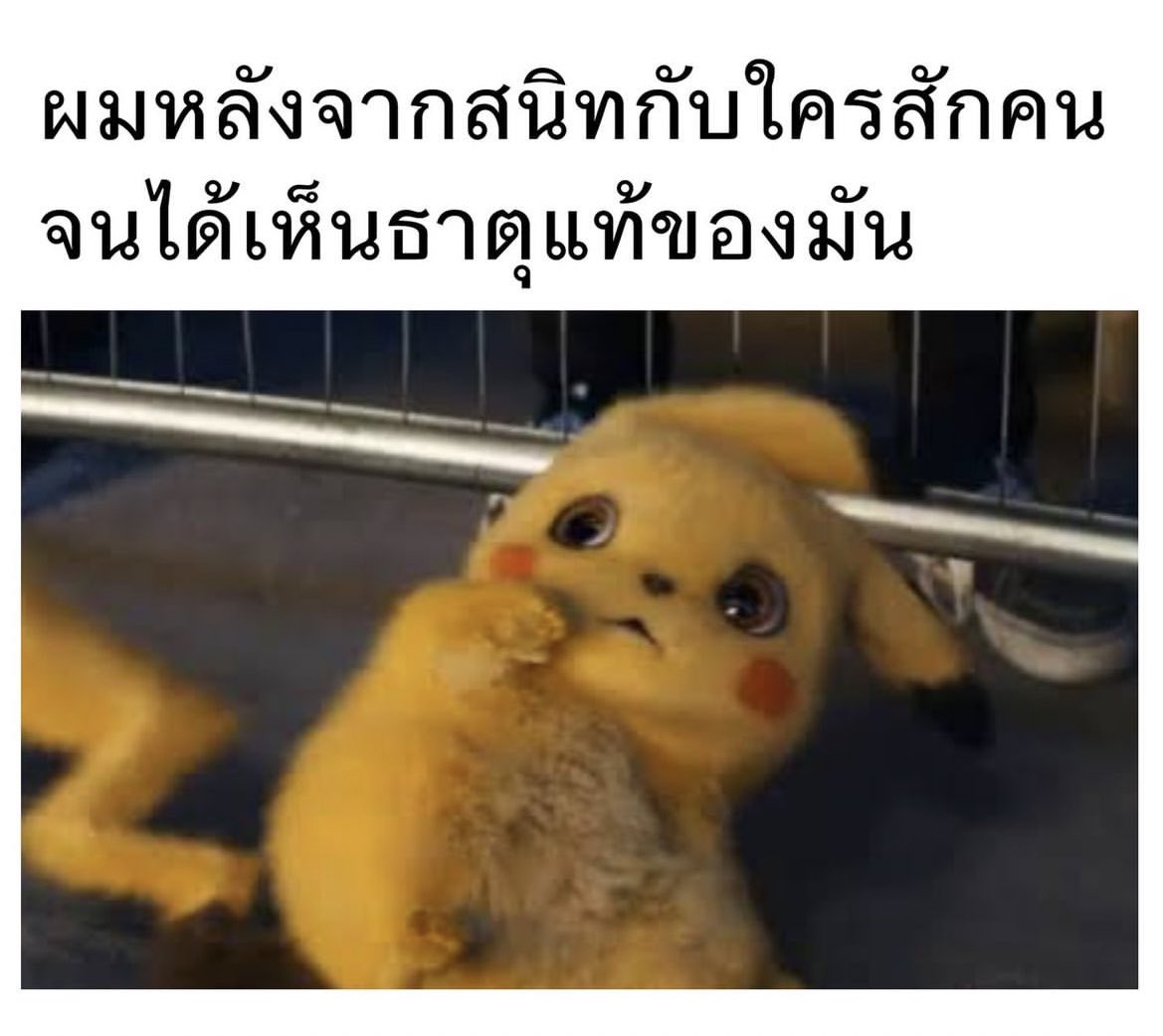 ช่างแม่ง🐰🏳️‍🌈 tweet media