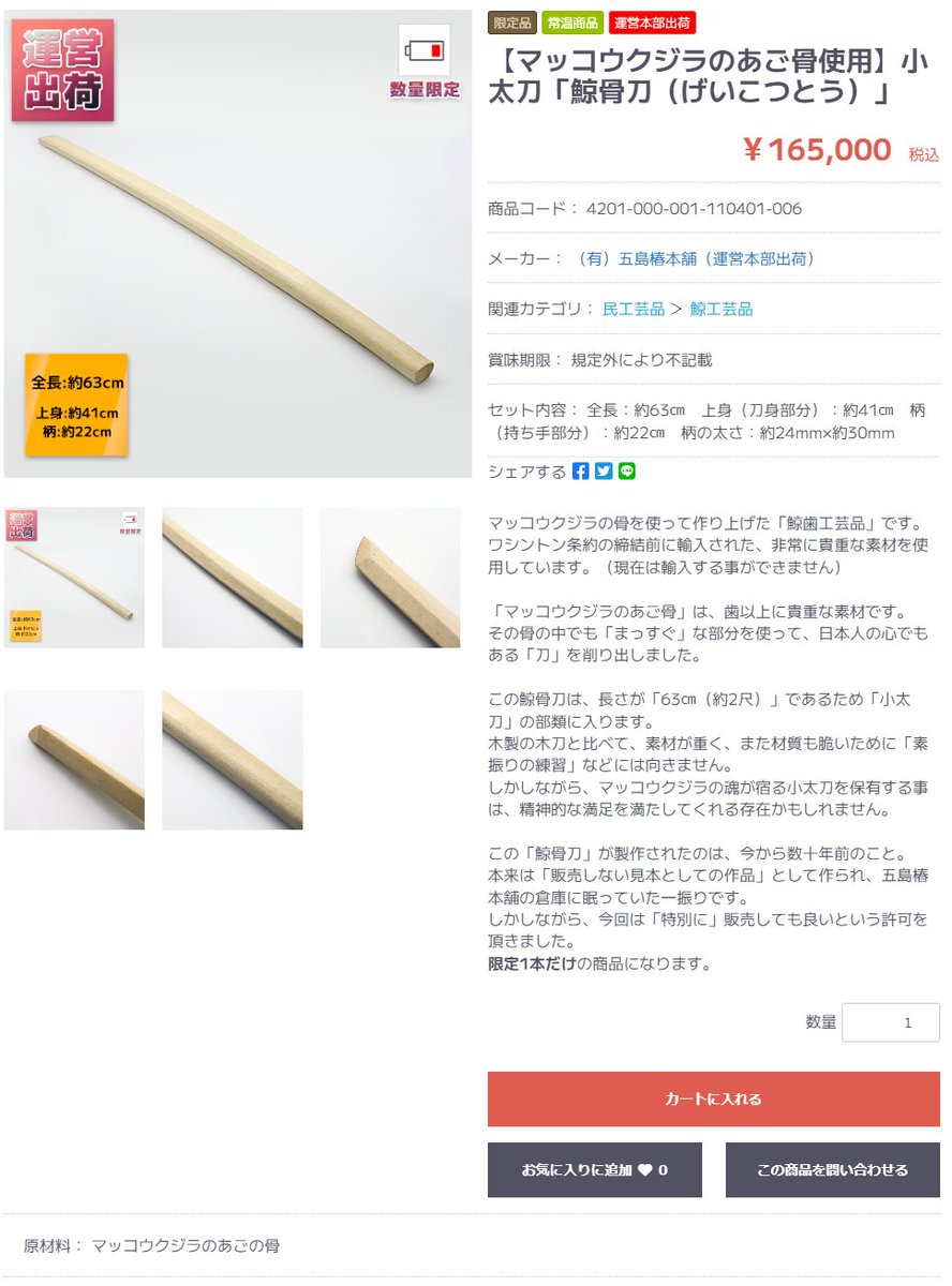 抹香鯨 鯨骨杖 鯨骨木刀 牙 99.8cm重量1.1kgマッコウクジラ珍品