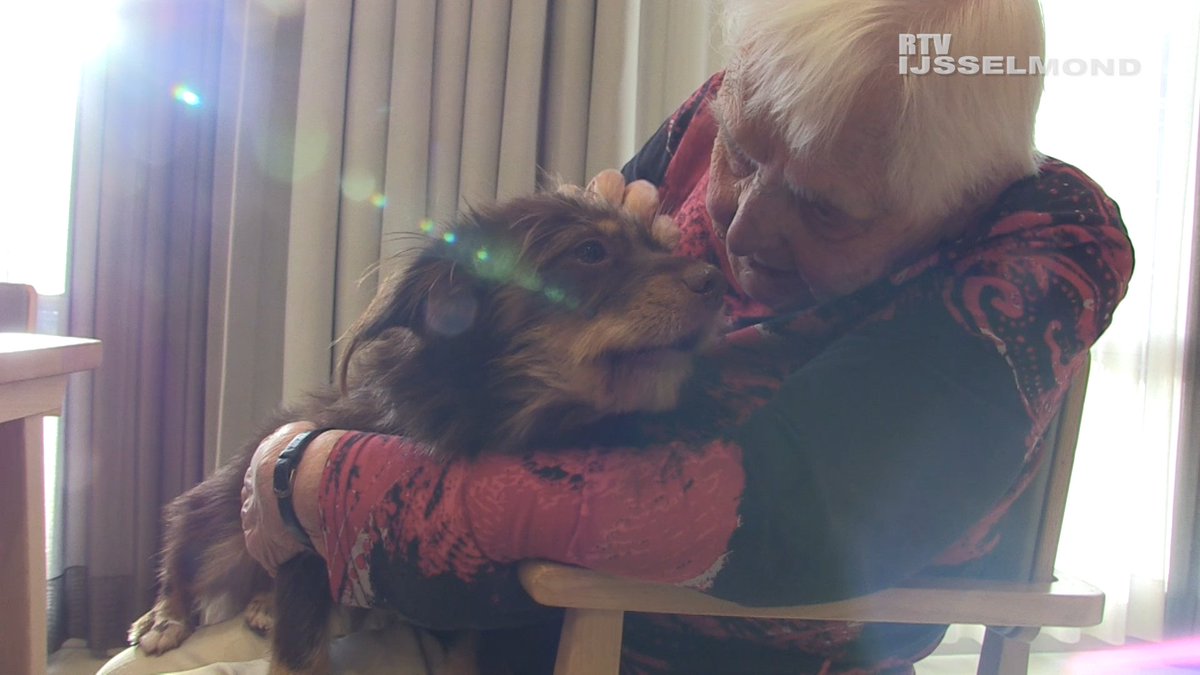 🐶Honden 🥰knuffel middag in woonzorgcentrum Margaretha [VIDEO] rtvijsselmond.nl/2022/11/13/%f0…