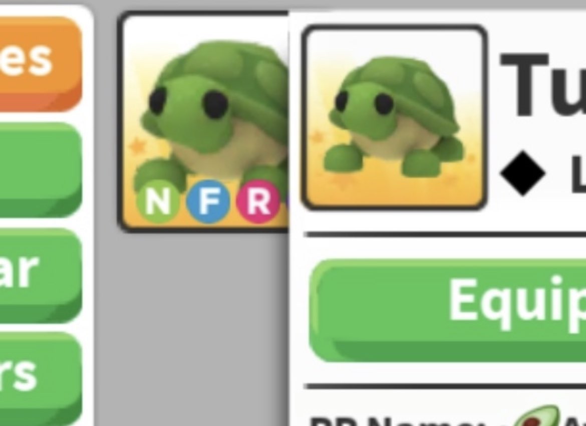 📣 Nfr turtle giveaway 🐢
Want to enter?
Just follow these easy and simple rules
⏬️
Follow me &amp; @iiKingRayan 🎉
❤️
Like ❤️
⏬️
Retweet 🌀
⏬️
Comment ✅ (optional)
⏬️
Turn notifications on 🔥 (optional)
That’s all!
Gl everyone 🌚
