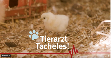 .<a href="/zooroyal/">ZooRoyal</a> geht mit #TierarztTacheles in die nächste Runde cpmonitor.de/news/detail.ph…