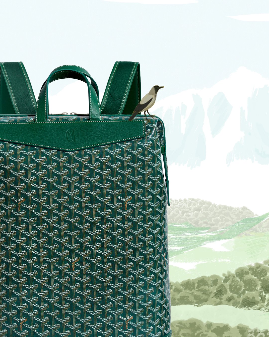 goyard backpack green