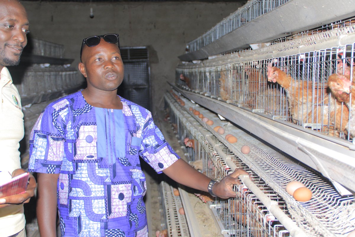 yofchan's tweet image. Meet #NdayambajeHarrison our poultry champion from Lwengo district. If you still think poultry keeping is hard, you need to meet this guy. @YOFCHAN #PoweringTheNextGenerationAgriprenuers
