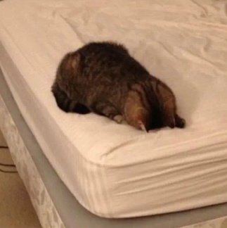 dillom_bot's tweet photo. No puede ser que no haya sido un sueño todo esto la puta madre cómo chota continúo con mi vida ahora literalmente toda mi motivación ganas e ilusión estaban en el show de anoche para q se cague cancelando https://t.co/HwktiPV4Hl