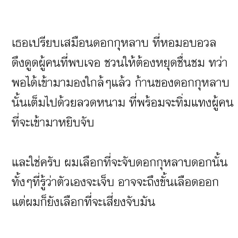 𓌈 tweet media