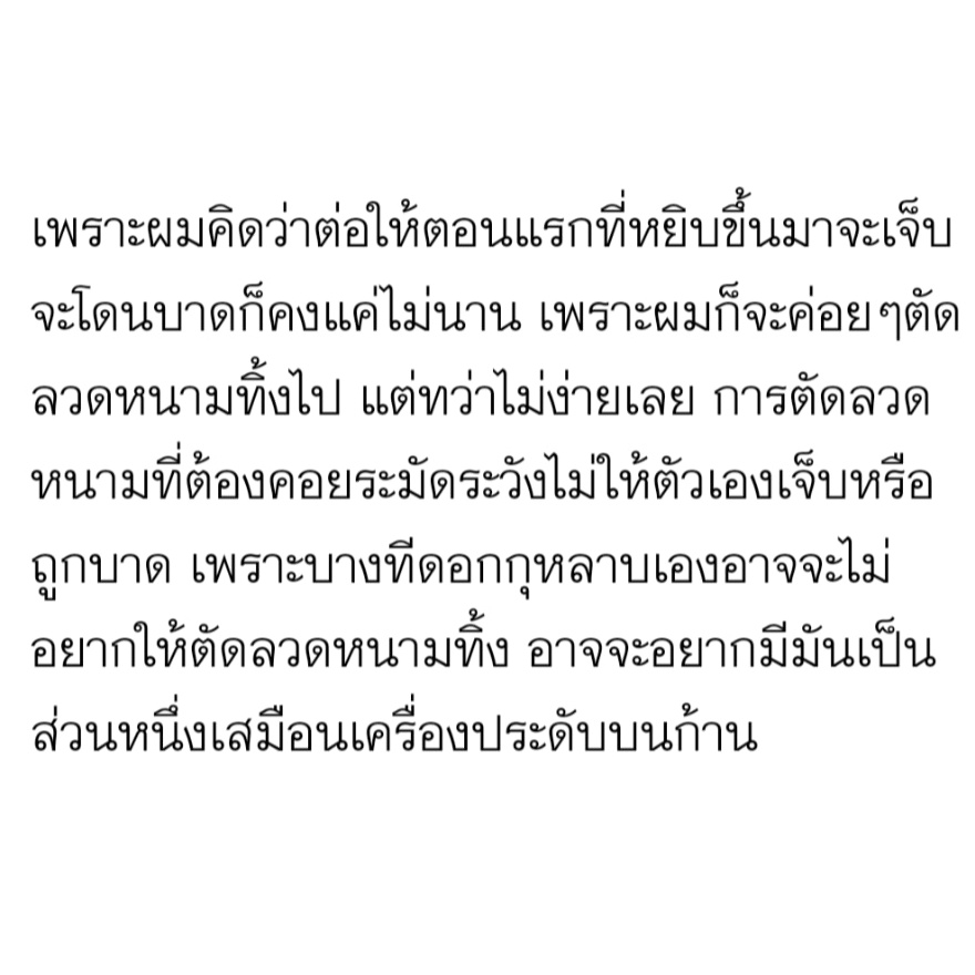 𓌈 tweet media