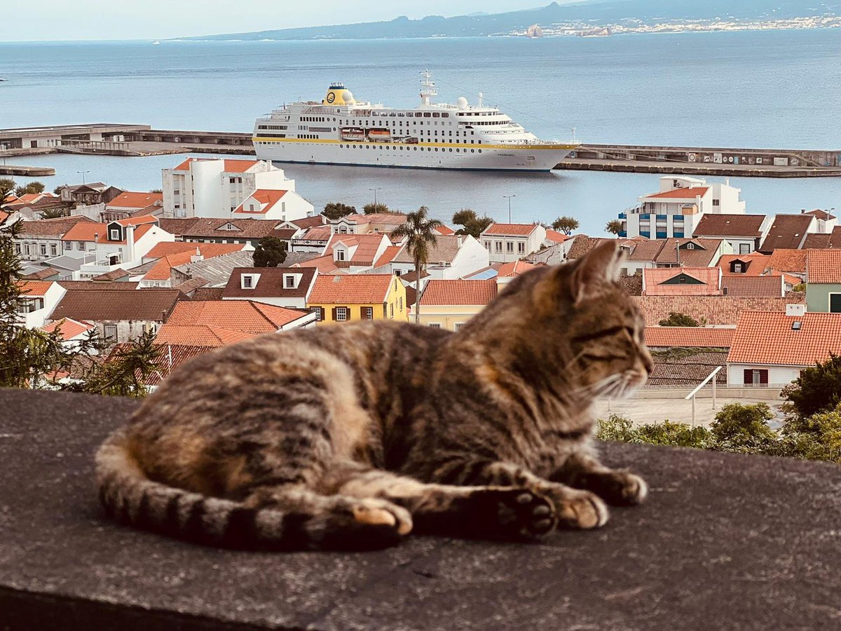 Horta, Insel Faial, Azoren 🥰
MS HAMBURG Kreuzfahrt 'Ein Hoch auf die Azoren und die Inseln des Ewigen Frühlings' 
Reiseinfo: plantours-partner.de/azoren-und-ins…
📷Alex Cortese #fajal #horta #azoren #portugal #mshamburg #kreuzfahrt #plantourskreuzfahrten #ligabue