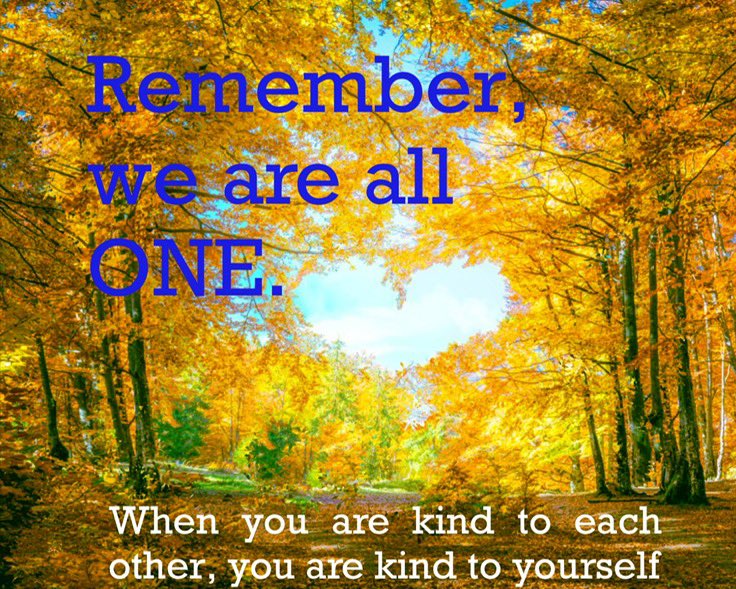 RisingPointIntl's tweet photo. #WorldKindnessDay #WorldKindnessDay2022 Be kind. When you are kind to others, you are kind to yourself! https://t.co/g5TLh3g9sS
