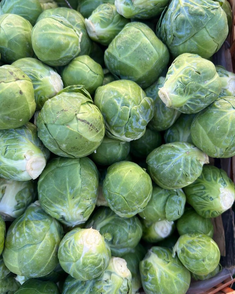 • Christmas Veg •

With only 42 days until Christmas… don’t forget you can get all of your festive veg from our market every Thursday.

⏰ Every Thursday, 830am to 3pm

#wetherby #lovewetherbymarket