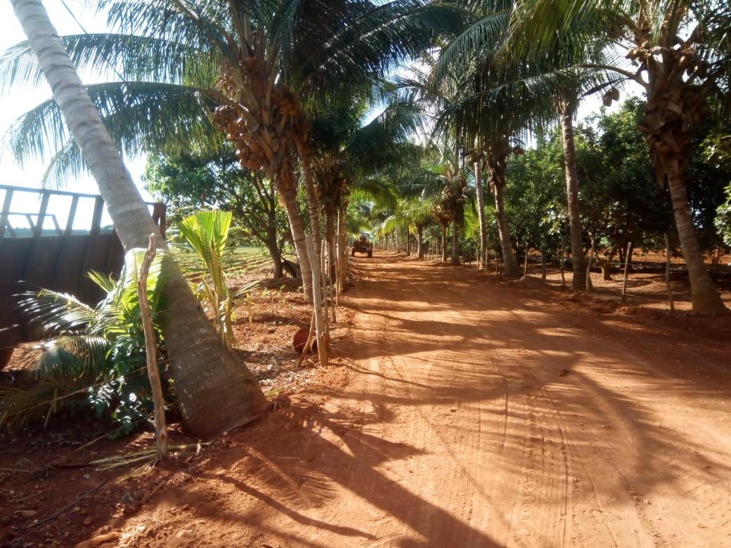 Roberto78141753's tweet photo. Para Alberto Blanco, Campesino Alquizareño, recibir en su finca delegados al octavo encuentro internacional de agroecologia el proximo dia 16 constituye un estimulo, para lo cual se declara LISTO. #AnapCuba #CubaPorLaPaz #AnapAgroecologia. https://t.co/vdUnf1OQTK