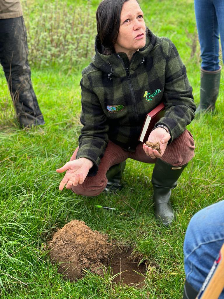 The Land Gardeners tweet media