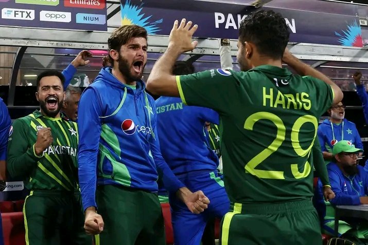 _anummahnoor's tweet photo. These boys have taken Pakistani cricket to next level. They went from nowhere to everywhere in this tournament. They have revived cricket game of our country in a beautiful way. Well played team green🇵🇰. You guys at least fought till the last. Forever your supporter team green💚 https://t.co/EWN3LqMrHn