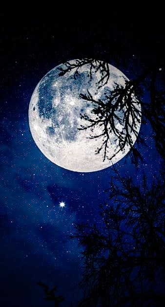 Dark moon 🌙
#MOONBIN 
#moonlighting