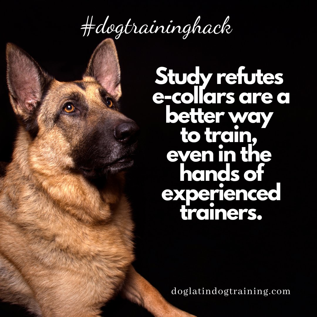 doglatinbeth's tweet photo. One more reason (based on #science) to dump e-collars, https://t.co/vBRIjmdlBZ https://t.co/9qjZ3eEhq4