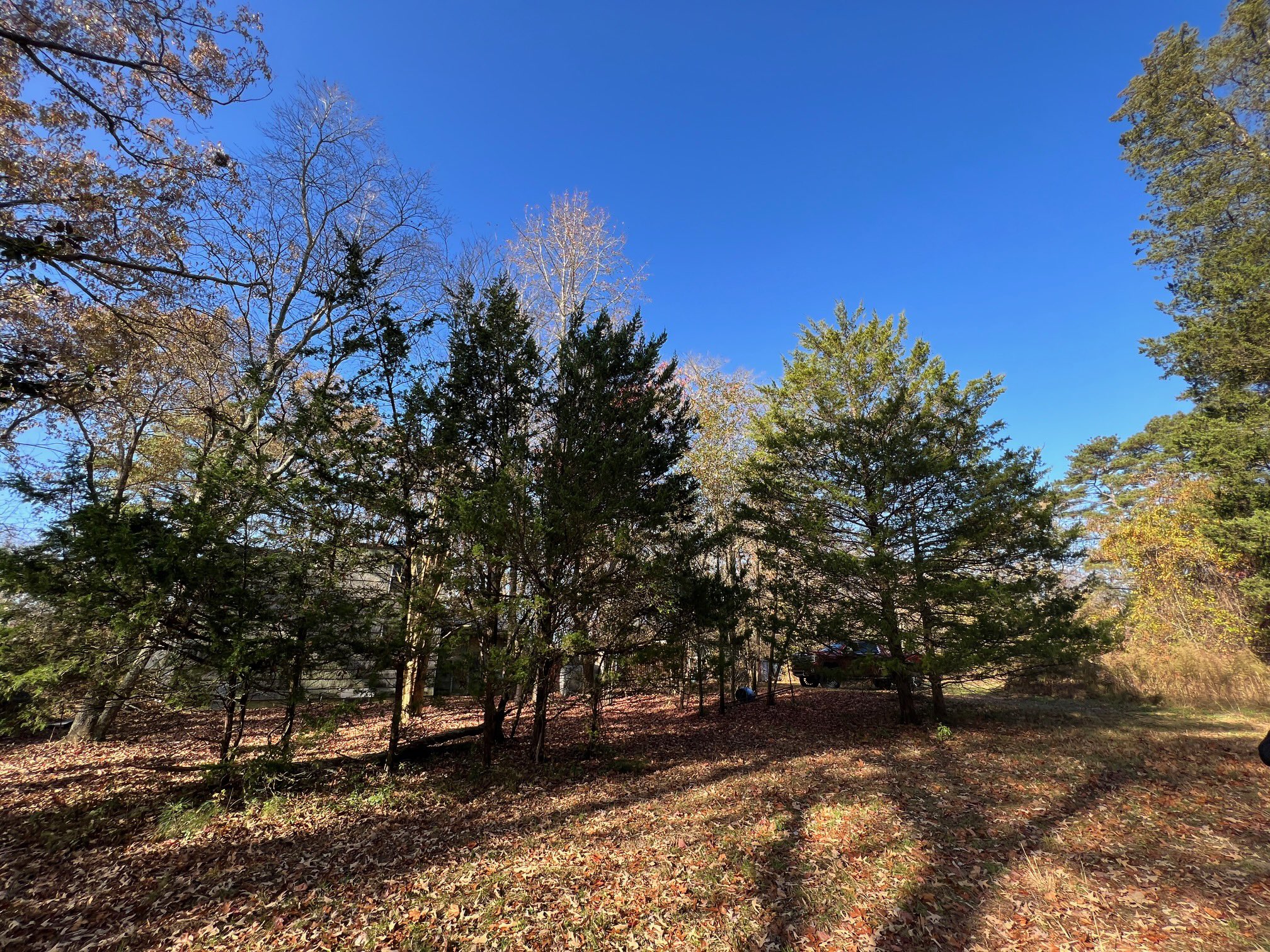 CJ Faison on Twitter: "Some SCARY news happened yesterday. My offer was