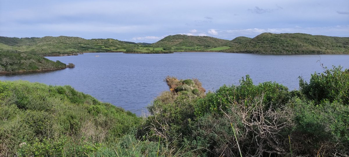 lopez_pascual's tweet photo. Broche de oro al XXV Congreso Español de Ornitología con la excursión a S'Albufera des Grau de Menorca. Sin grandes esfuerzos hemos visto alrededor de una treintena de especies distintas en un paisaje bien conservado. Gracias por la organización. #CEO25 https://t.co/1kFxoe71aR