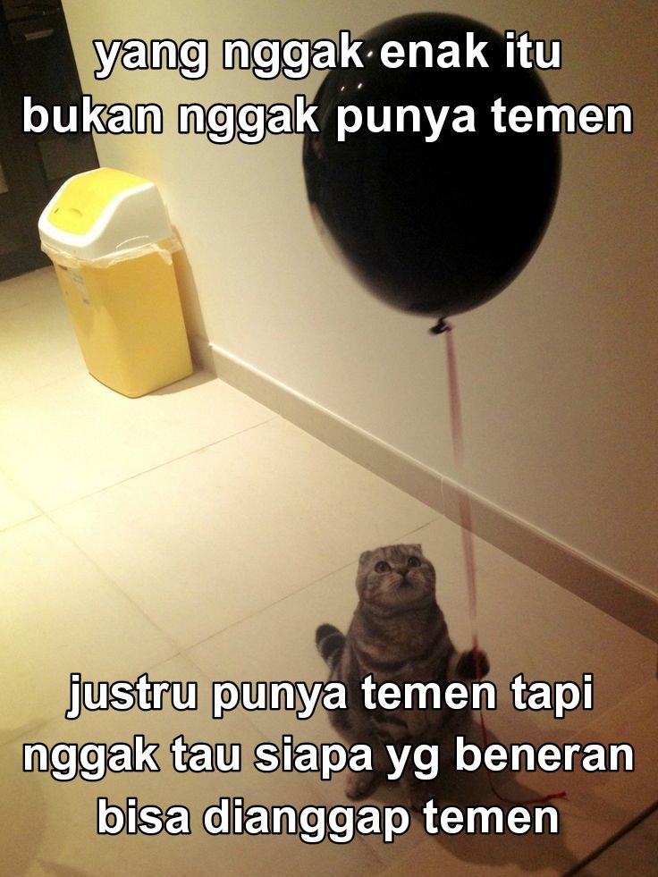 OHMYV3NUS tweet picture