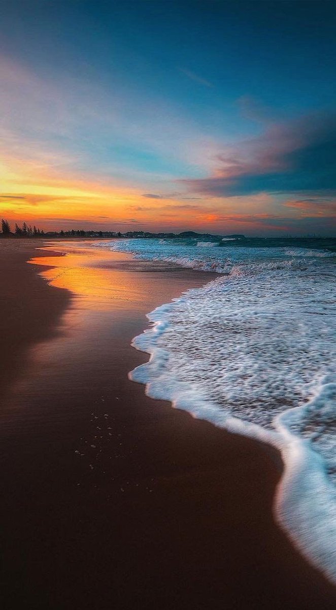 Retumbe el mar y cuanto contiene, la tierra y cuantos la habitan; aplaudan ríos,aclamen los montes.
Al Señor,que llega para regir la tierra. Regirá el orbe con justicia y los pueblos con rectitud.Sal95 <a href="/ArquidiocesisBq/">ArquidiocesisBq</a> <a href="/maronitas_es/">Maronitas</a> <a href="/padrecharly/">P. Charly CJM</a> <a href="/Jccpanama/">Medio Católico Jcc Panamá</a> <a href="/pespiritusantob/">P.Espíritu Santo Baq</a>