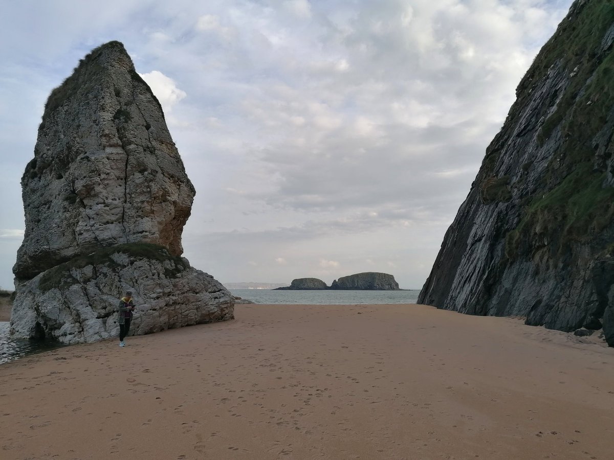 Dwyer Mc Kerr tweet media