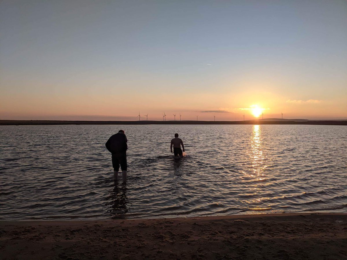 Josh Greener tweet media