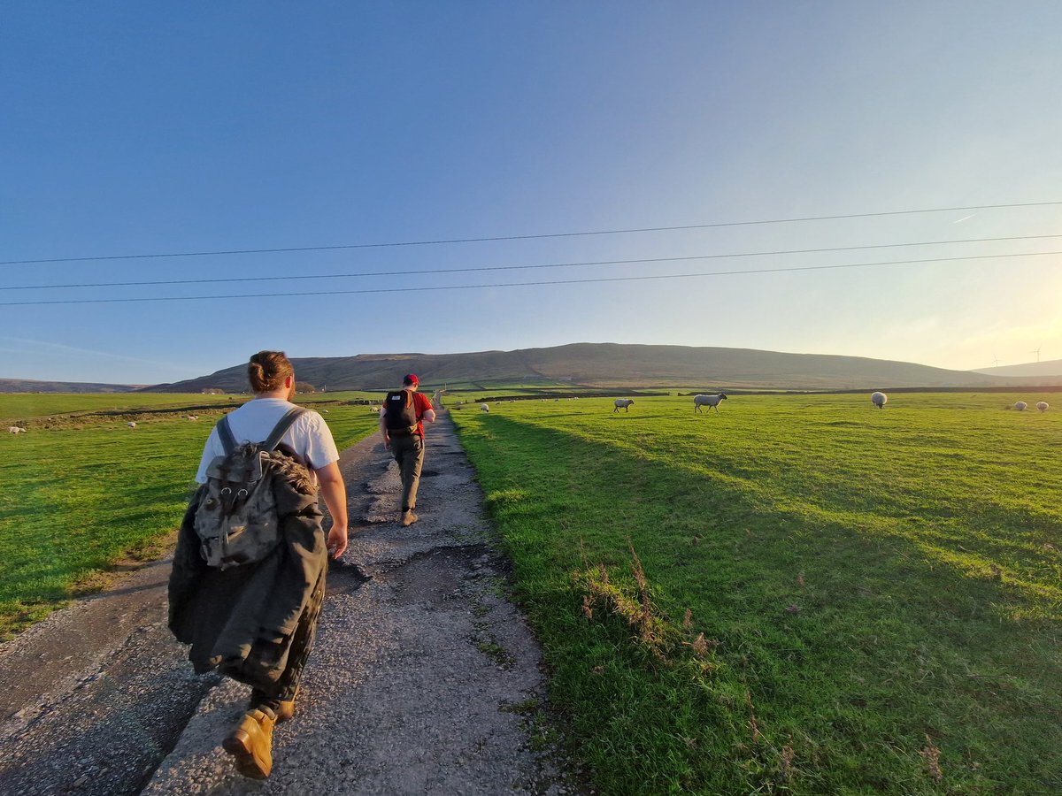 Josh Greener tweet media