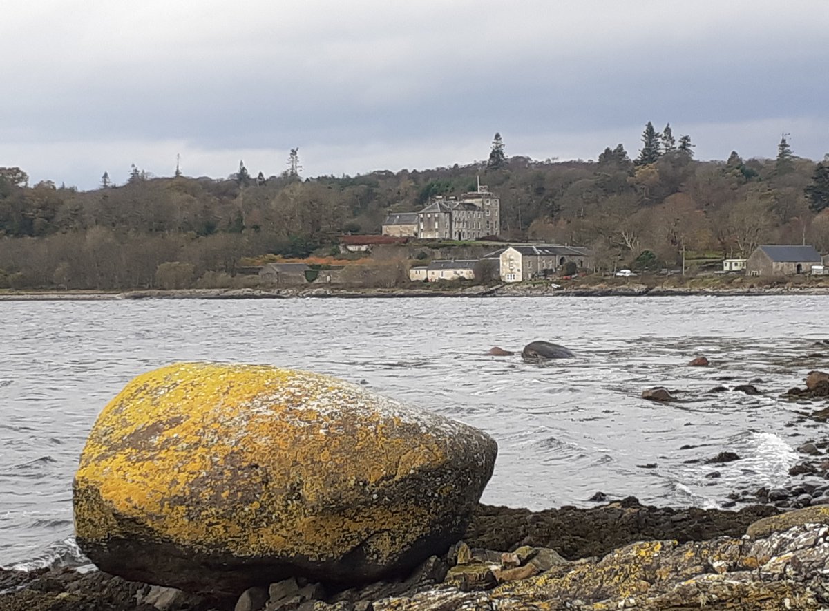 LorneOban's tweet photo. I liked the contrast between the greyness of the day and the yellow of the lichen on this boulder in Ardmucknish Bay this morning. Looking across the bay to Lochnell Castle. #dailycycle #Benderloch https://t.co/bIKR13C8jP