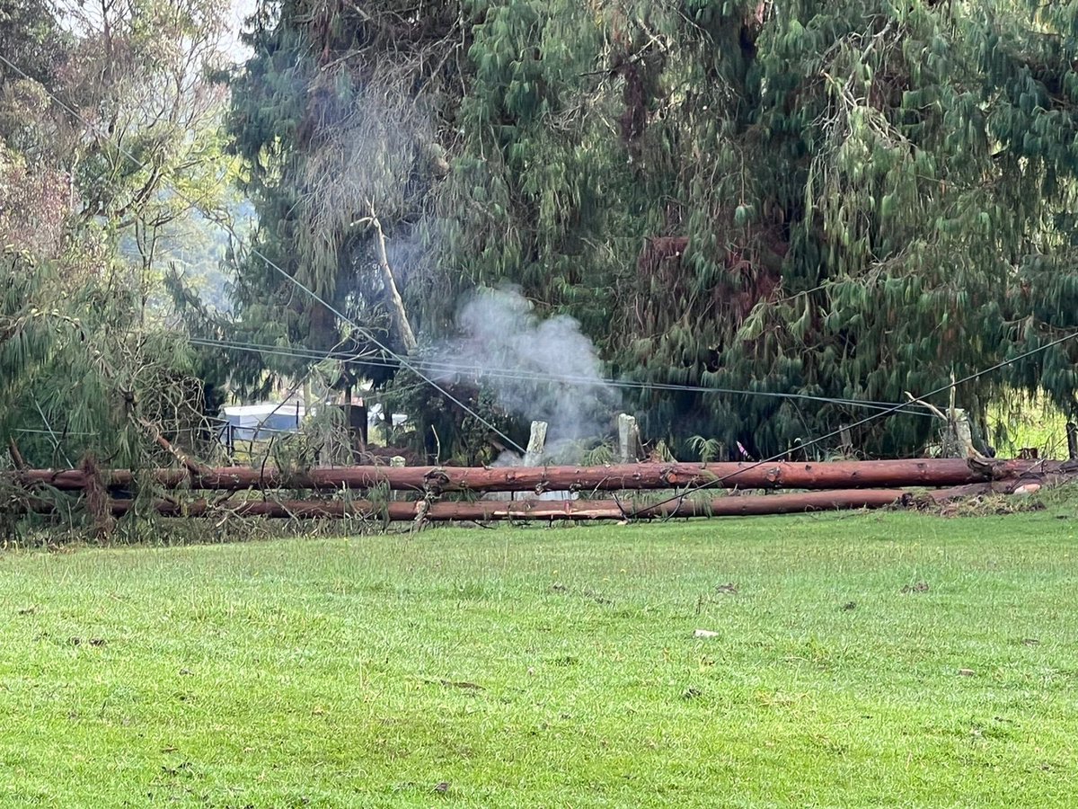 DianaTabaresT's tweet photo. @EnelColombia @EnelClientesCO agradecemos su ayuda con el envío de una cuadrilla a la Vereda #ElHato. https://t.co/2WoEEMoEe3