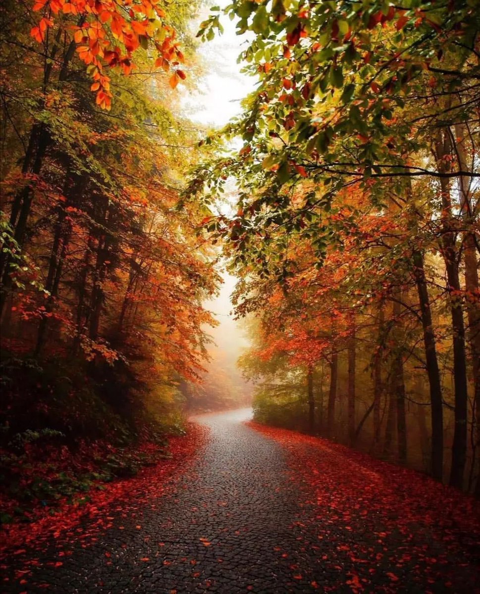 Çekimi Sana Ait Olan Bir Fotoğraf Bırak; 📸