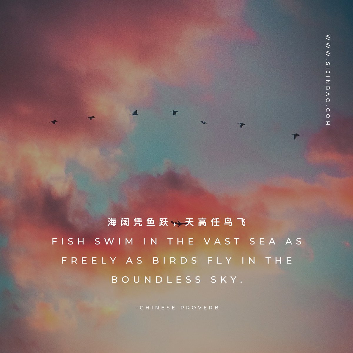 SiJinBao's tweet photo. #sijinbao #ancientwisdom #bewhole #ChineseMedicine #herbs #quotes #quoteoftheday #sayings #lifequotes #dailyquote https://t.co/Rjfztf4We2