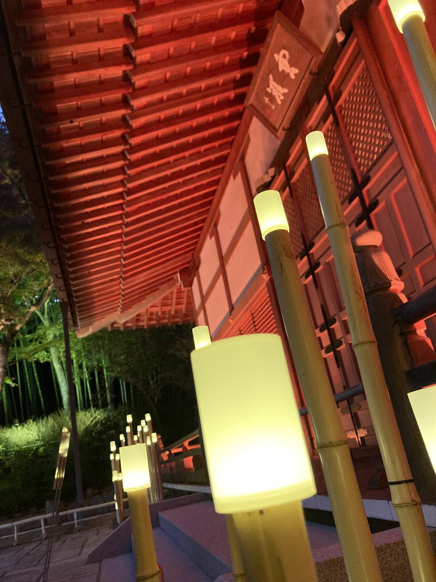 tome5035's tweet photo. 天龍寺に13年ぶりに行って参りました。 https://t.co/xHNfpV5HRn