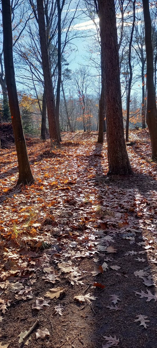 Wat een weertje. 
Gewoon genieten.