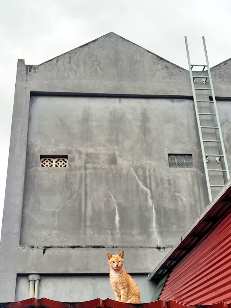 Drop foto meong estetik

Aku mulai duluan 🐈