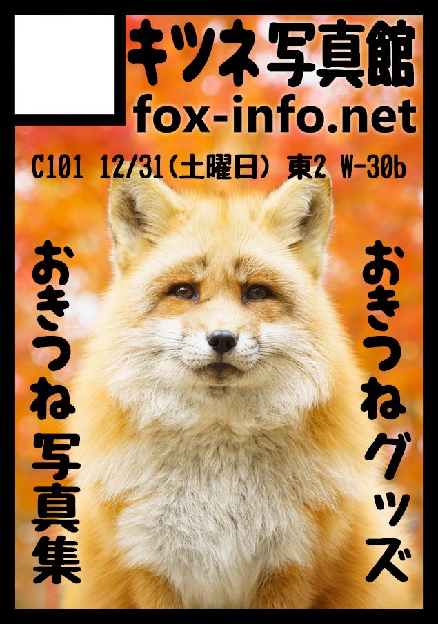 キツネ写真館 新刊通販始めました Fox Info Net Twitter