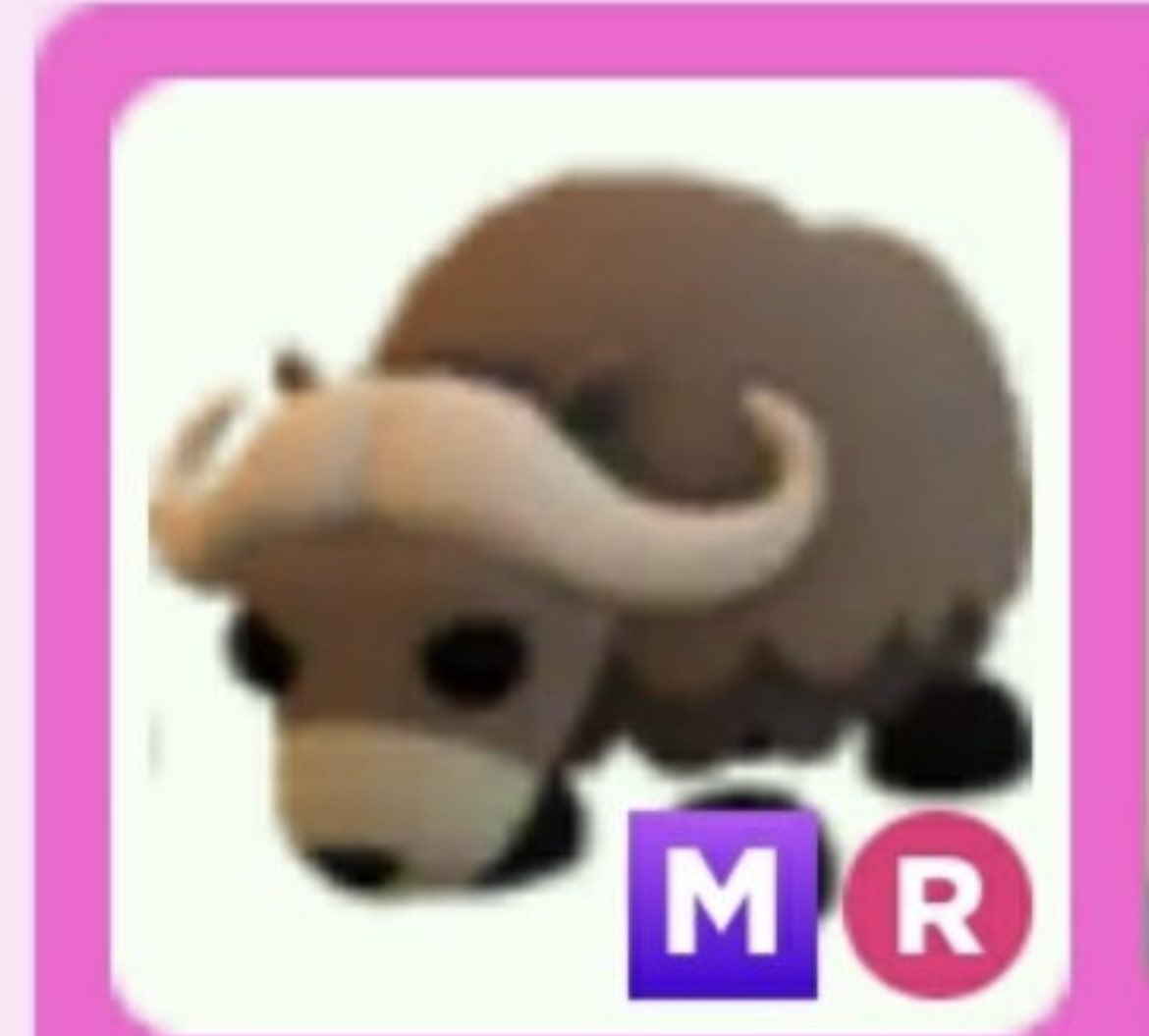 🌚Mega musk ox giveaway 🐂
Follow these rules to enter
⏬️
Follow me &amp; <a href="/flowers_smellx/">flower</a> 🔥
⏬️
Like ❤️
⏬️
Retweet 🌀
Extras in thread :)
That’s all 💟
Gl everyone 🎉