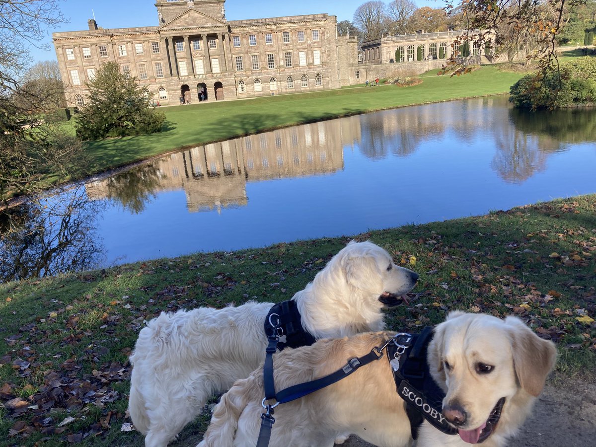 scoobyandharry's tweet photo. What do you think guys ?? Wanna live here ??? 🐾🐾🐾 #Lymehall https://t.co/W9e7BQF7MB