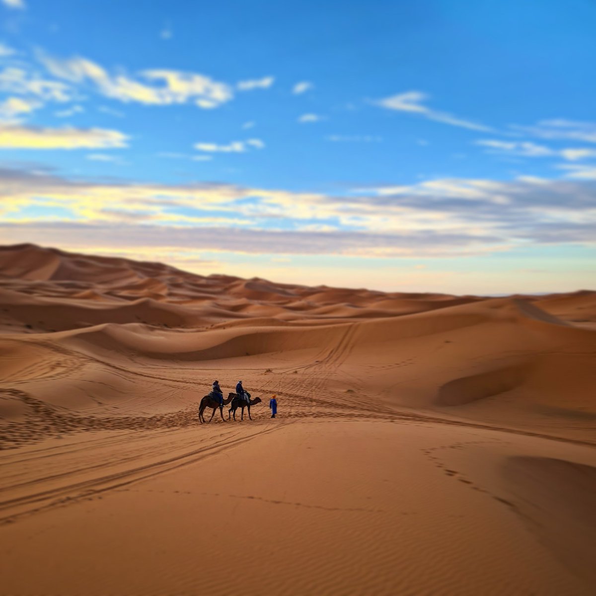 The Sahara. Camel ride to your luxury camp #morocco #maroc #marokko
