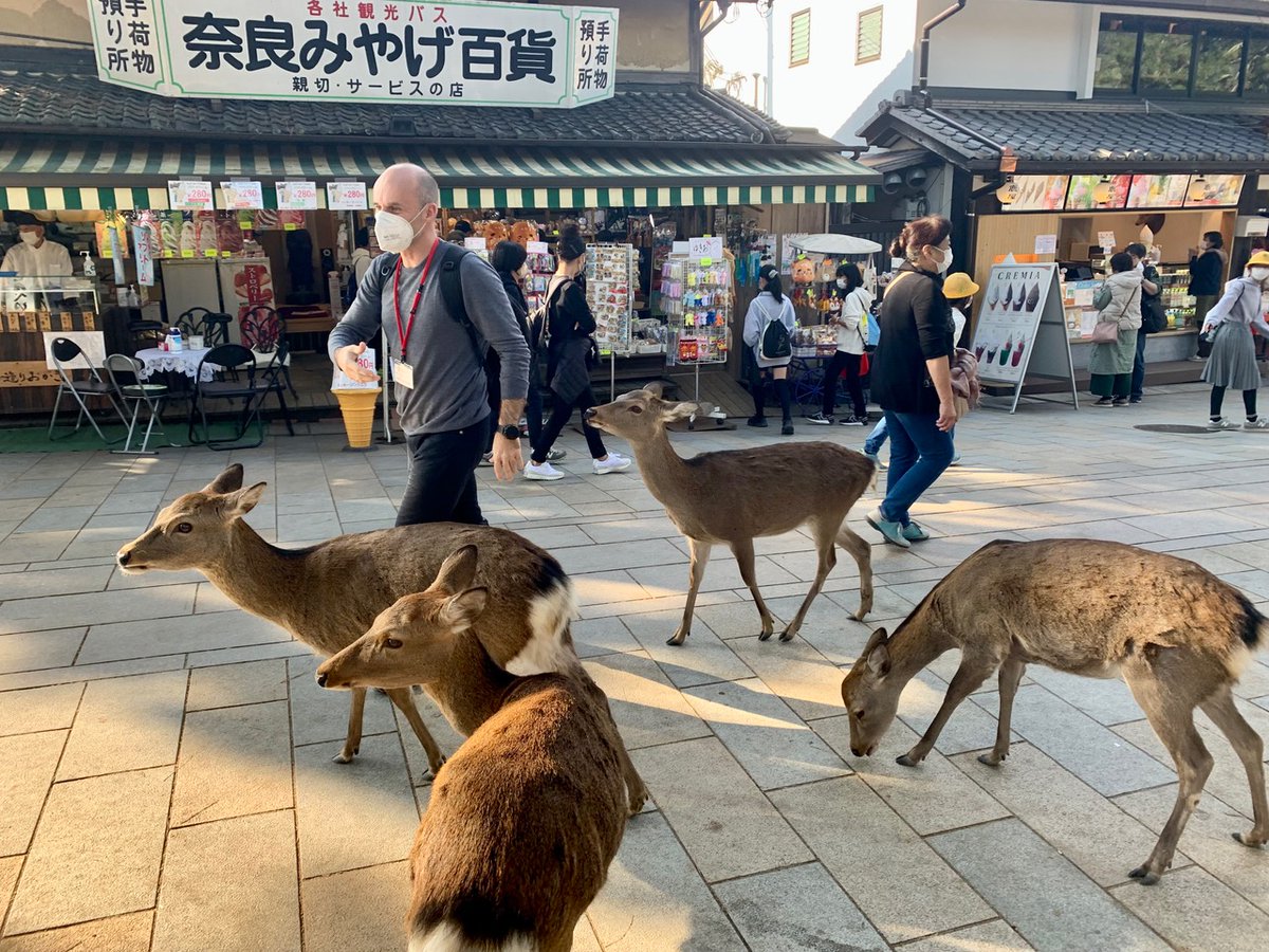 At least the deers want to follow me 😀 Photo done by my friend Kenji Kamada.