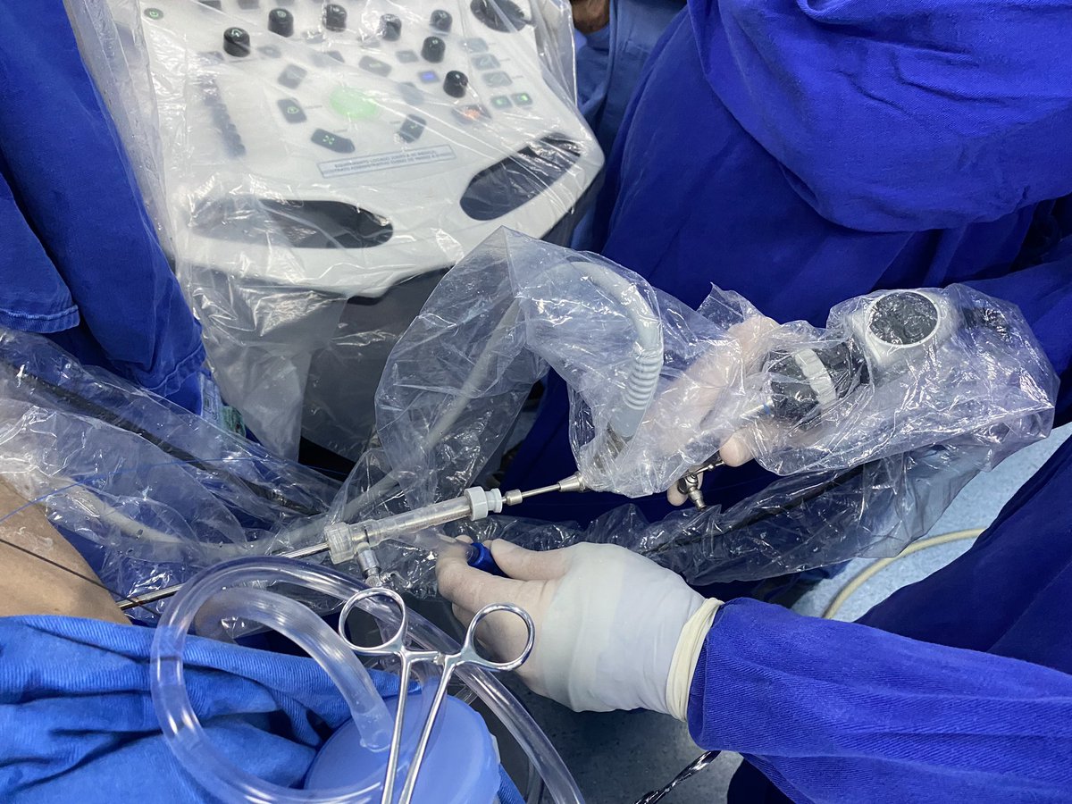 Marcus Maroccolo tweet media