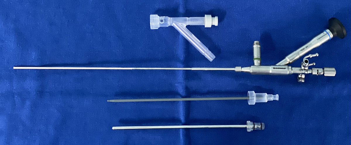 Marcus Maroccolo tweet media