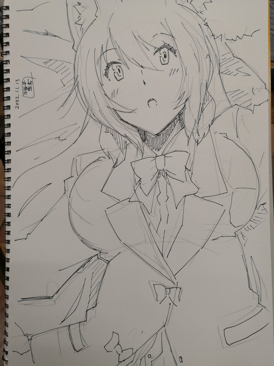 描いたスケブなど 