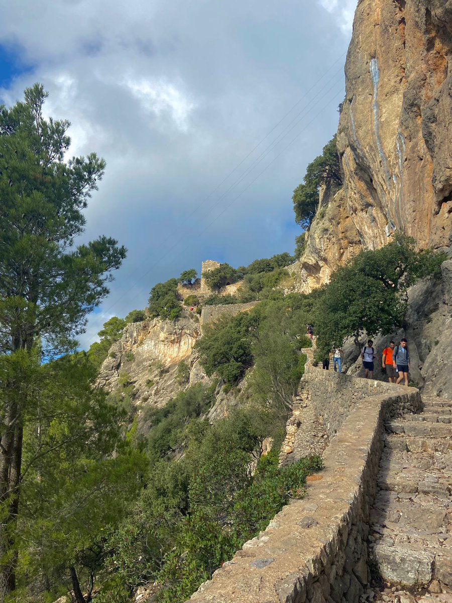 Carol_EF_'s tweet photo. Ayer fuimos de excursión al castell d'Alaró con algunos compañeros de clase y lo pasamos genial, estuvimos un total de 3 horas y media. La subida hasta el castillo fueron dos horas y la bajada hora y media. ¡Aquí dejo algunas fotos del paisaje! 😃@EFsaludable_UIB #22121_UIB https://t.co/heMBnQxszA