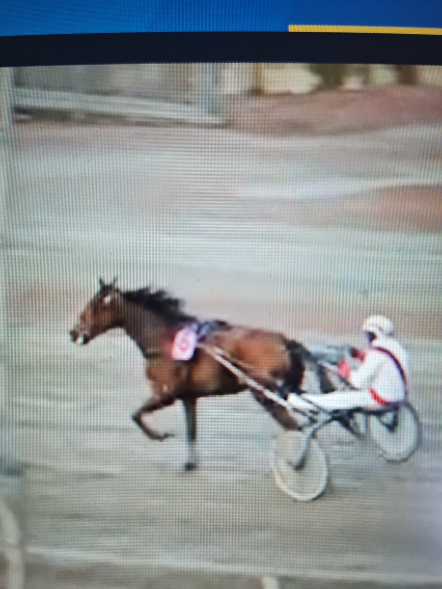 MR 100% Bengt Olsson Åby lopp 10