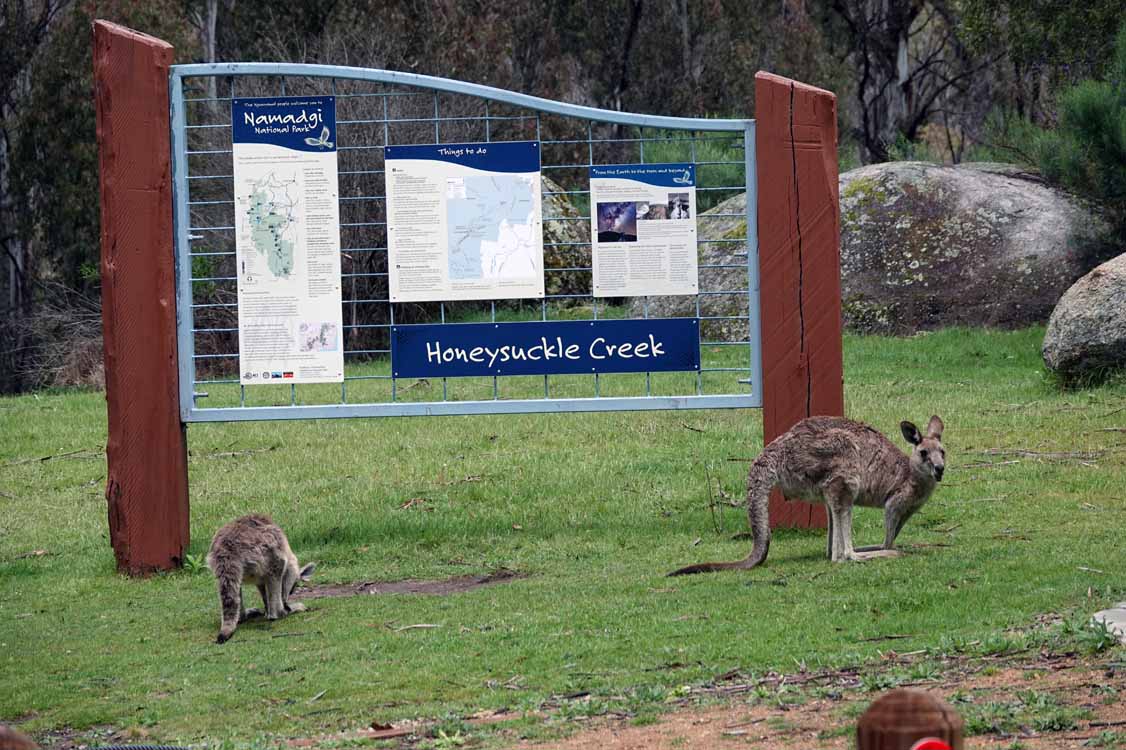 John Harding’s photos and copies of maps of Jim Sawkins Memorial race at Honeysuckle Creek 13Nov are at facebook.com/media/set/?van… <a href="/SportandRecCBR/">Sport and Recreation</a> <a href="/JulianBAbbott/">Julian Abbott 😀</a> <a href="/JonoGul/">Jonathon Gul</a> <a href="/CanbTimesSport/">The Canberra Times Sport</a> <a href="/BlockaDutton/">Chris Dutton</a> <a href="/Super_Couch/">David Polkinghorne</a> <a href="/city_news/">Canberra CityNews</a> @canberrawkly