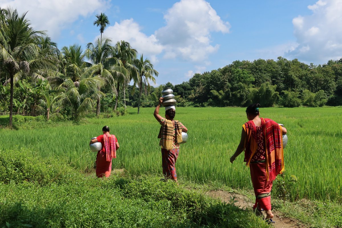 UNDP_BD's tweet photo. Good news! #Bangladesh 🇧🇩 wins #COP27 Local Adaptation Champions Award by @GCAdaptation
for @UNDP's community-led adaptation work in remote #Rangamati, promoting women #empowerment thru solar-powered water supply supported by @DKAmbBD 🇩🇰👉https://t.co/pSQWvP1bNT https://t.co/8fOtsh4E9Y