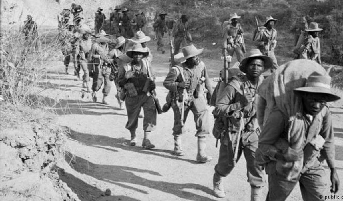 _mikeroyal's tweet photo. We will remember them… #TheyAlsoServed #RemembranceDay https://t.co/Kuegc9h7HO