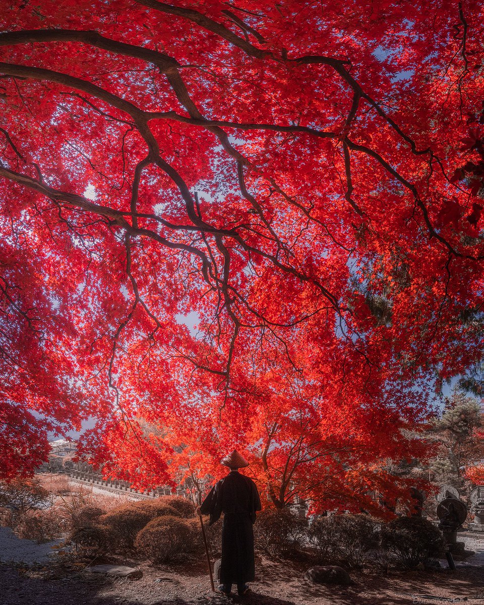 Konnichiwa my friends 🙏
The Samurai journey in Japan continues today in the Kiso area. 
That is Nagano area, Japanese Alps. We continue our photography tour to Kyoto tomorrow! Stay tuned for fresh updates.