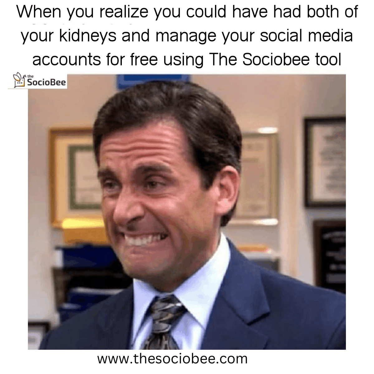 TheSocioBee's tweet image. Save yourself from losing a kidney by using The Sociobee&apos;s free tools instead of purchasing other expensive tools.
#thesociobee #freesaas #startup #opportunity #socialmediamarketing #freetouse #smallbusiness #mediumbusiness #sociobee #software