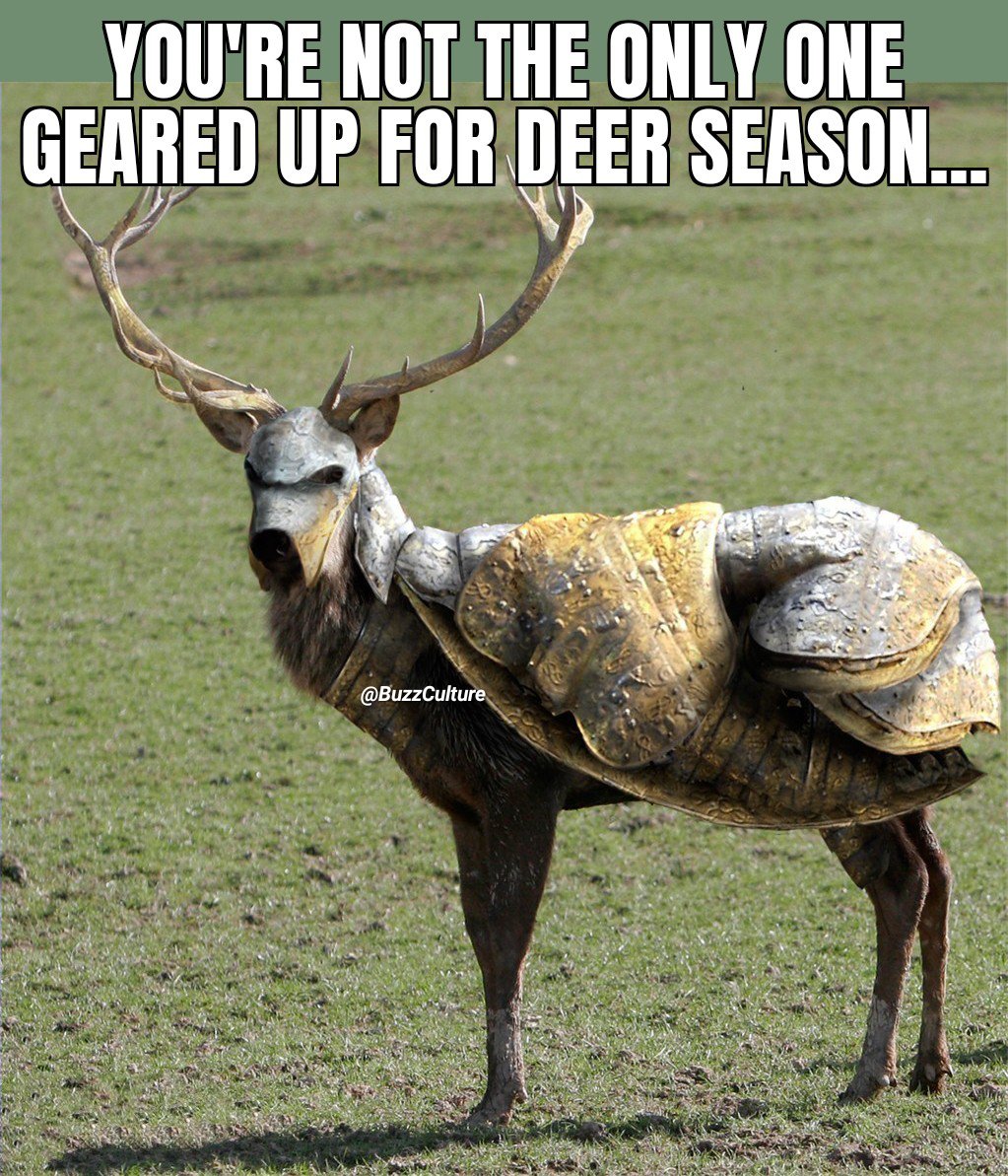 We'll see... #SundayFunday #WeekendFun #Funny #Hunting #Deer #FunTimes #DeerSeason #Weekend