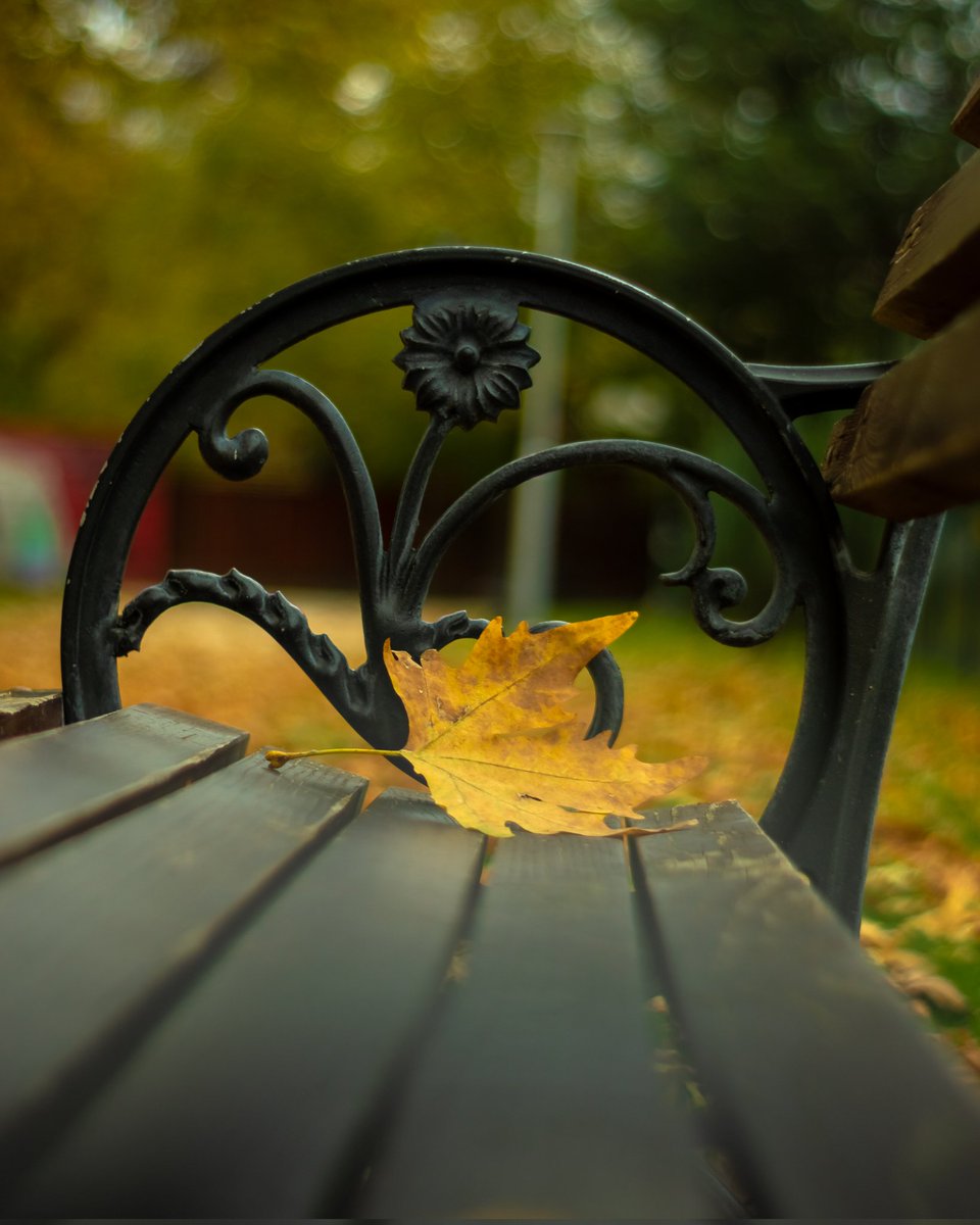 Pocnav da se zanimavam so fotografija amaterski sekako,  koj saka moze da vidi poveke na insta , instagram.com/Mackarovski_ph…